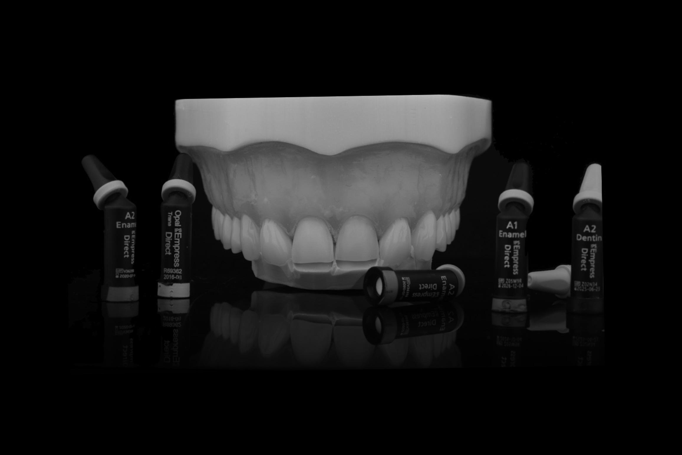 Kurs izrada direktnih kompozitnih faseta